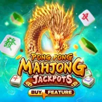 Nền tảng cá cược được cấp phép