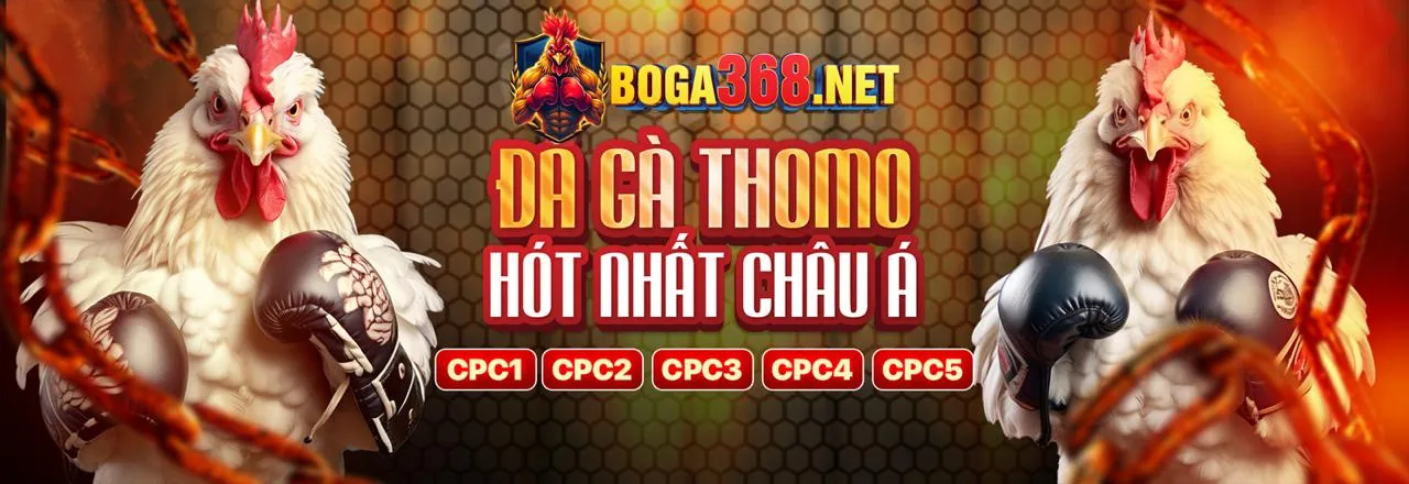 Tiền thưởng chào mừng lớn dành cho người chơi mới tại VN188 Code